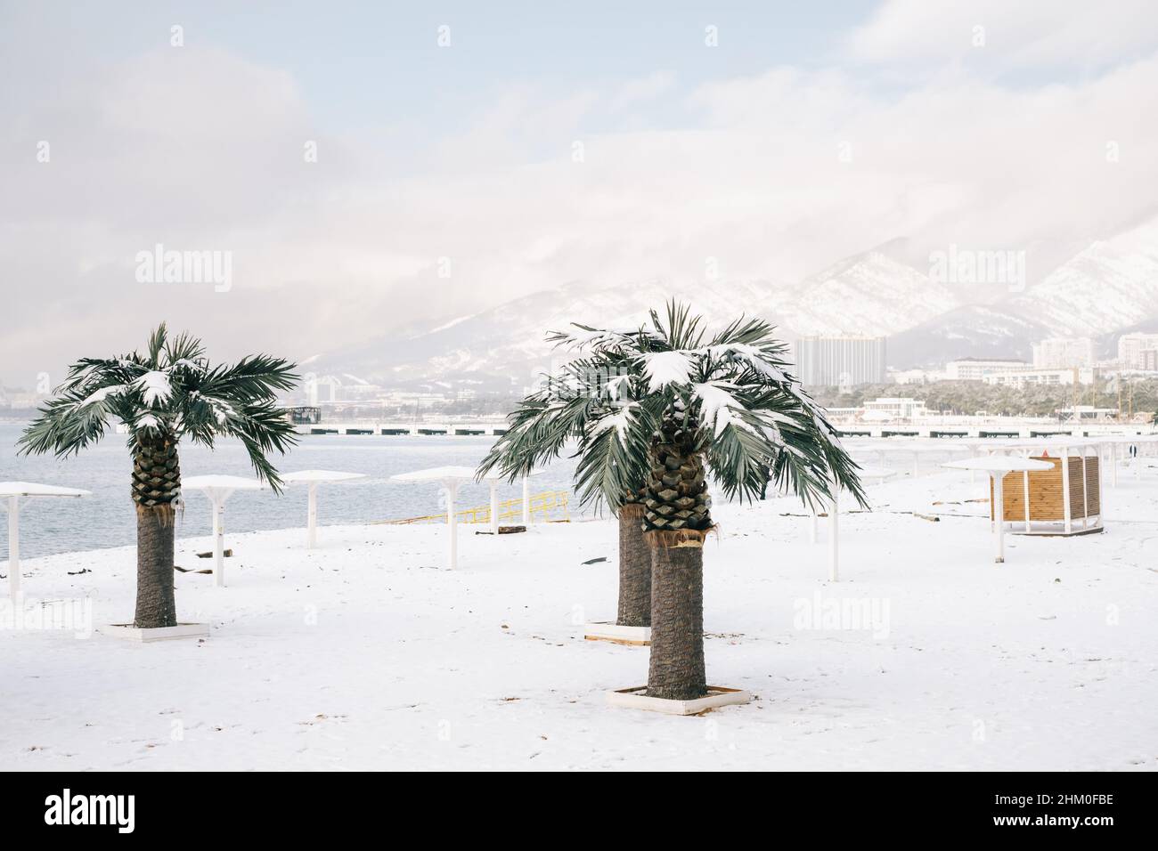 Panorama cittadino della spiaggia centrale durante una nevicata con vista sulla catena Markotkh e sulle palme. Foto Stock