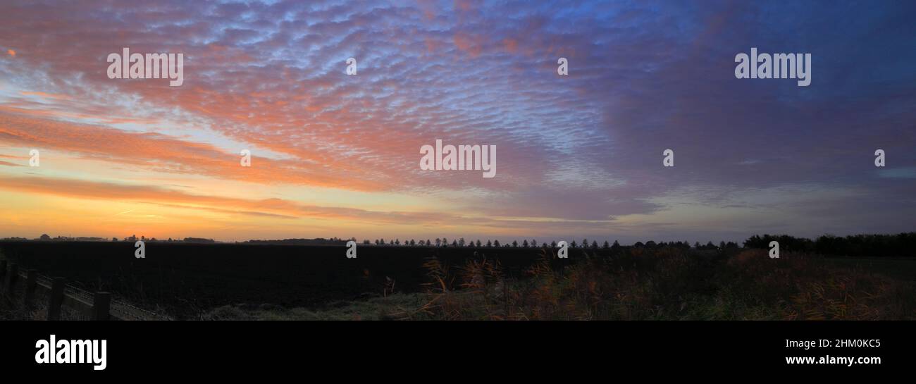 Autunno Sunrise colori su campi vicino Ely City, Cambridgeshire County, Inghilterra, Regno Unito Foto Stock
