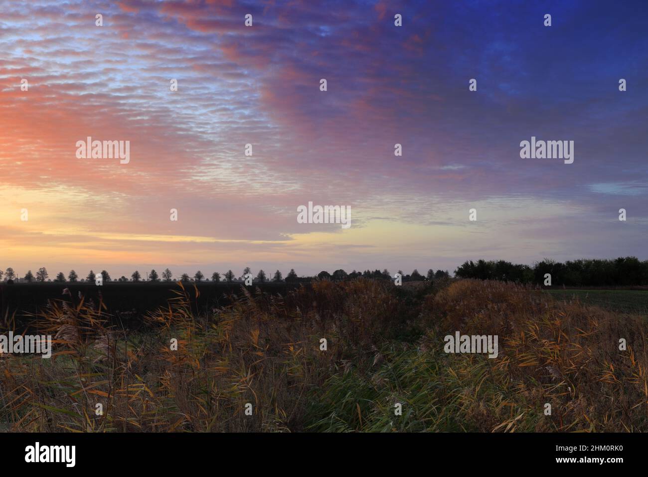 Autunno Sunrise colori su campi vicino Ely City, Cambridgeshire County, Inghilterra, Regno Unito Foto Stock