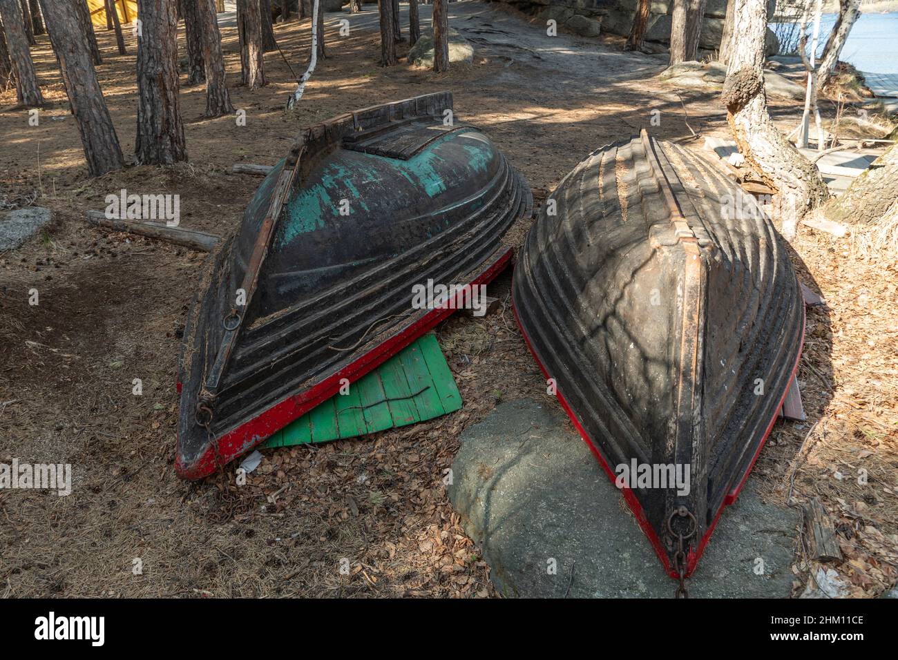 Le vecchie barche si trovano a faccia in giù sulla riva. Due barche di legno senza remi si trovano in una foresta di conifere vicino ad un lago di montagna. Vecchie barche sbiadite sono sulla Th Foto Stock
