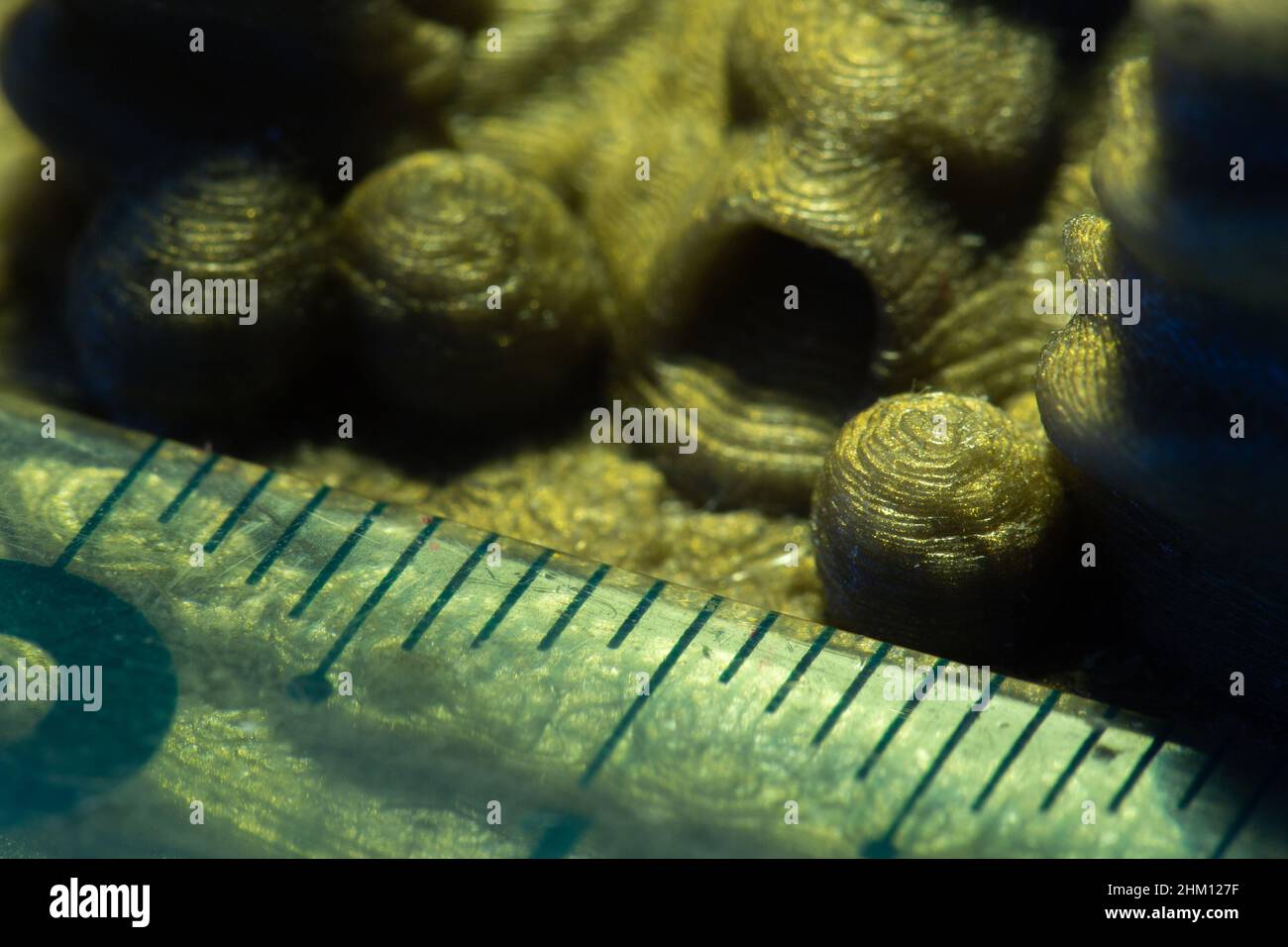 Macro dell'oggetto stampato 3D e scala di misura accanto ad esso. Foto Stock