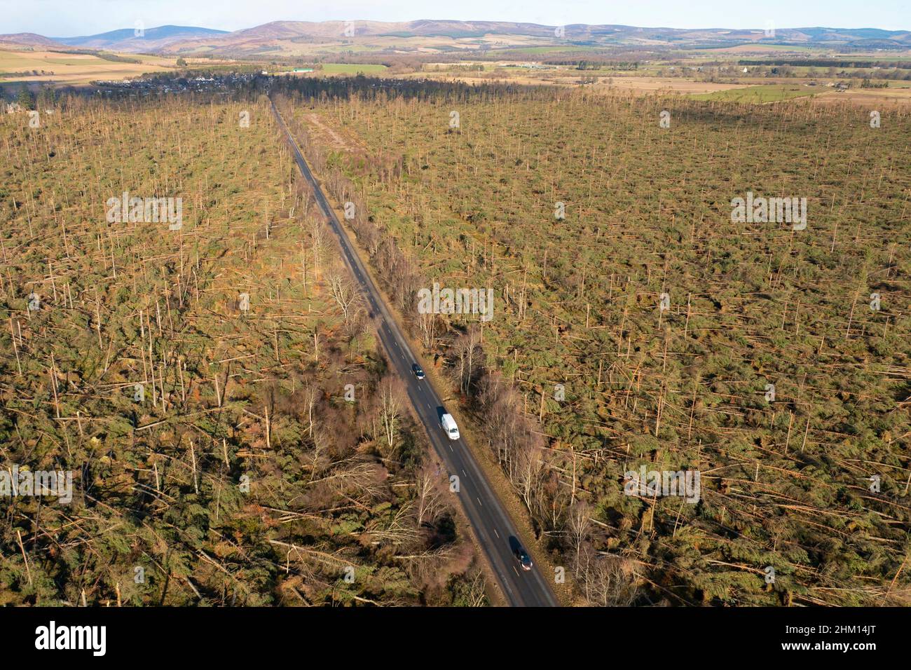 Vista aerea dal drone di danni al bosco a Edzell da Storm Corrie il 31st gennaio 2022, Angus, Scozia, Regno Unito Foto Stock