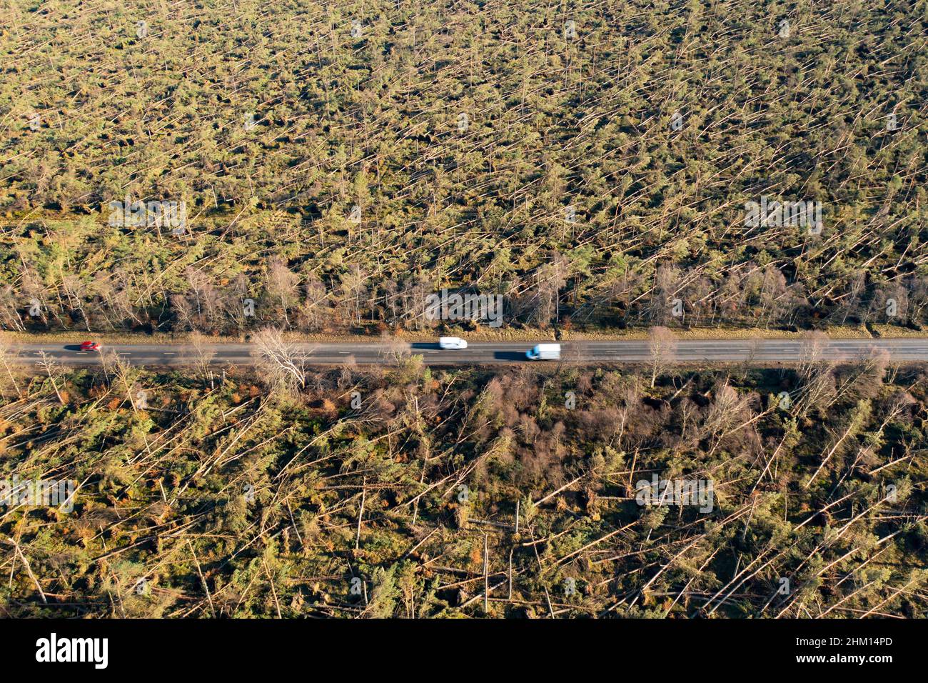 Vista aerea dal drone di danni al bosco a Edzell da Storm Corrie il 31st gennaio 2022, Angus, Scozia, Regno Unito Foto Stock