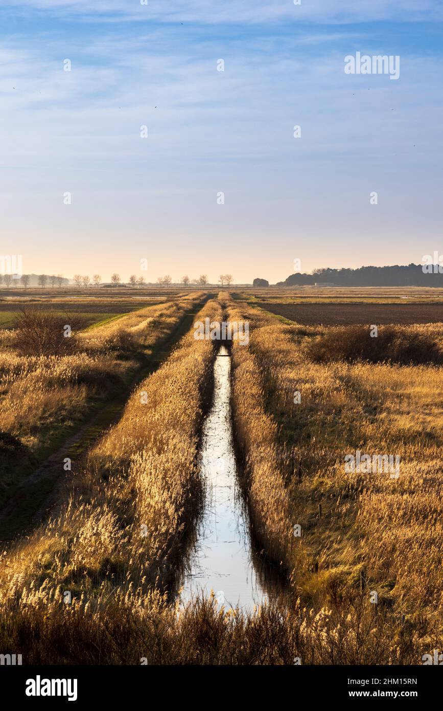 Una diga di drenaggio nella campagna del Norfolk a Wells accanto al mare Foto Stock
