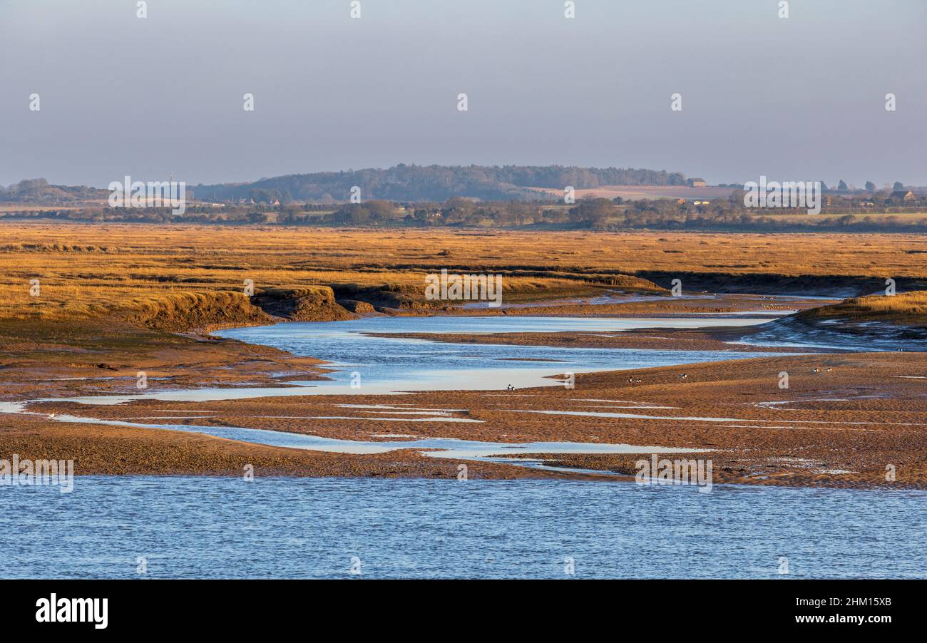 Pozzi Saline Marshes a bassa marea, Holkham National Natural Reserve, Norfolk, Inghilterra Foto Stock