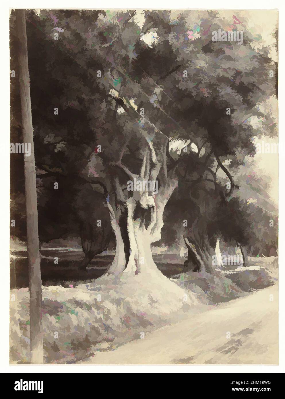 Arte ispirata da alberi lungo la strada a Menton, debutto le de la Route de la Cervide (Menton), Menton, 1880 - 1910, carta, stampa albume, Altezza 260 mm x larghezza 197 mm, opere classiche modernizzate da Artotop con un tocco di modernità. Forme, colore e valore, impatto visivo accattivante sulle emozioni artistiche attraverso la libertà delle opere d'arte in modo contemporaneo. Un messaggio senza tempo che persegue una nuova direzione selvaggiamente creativa. Artisti che si rivolgono al supporto digitale e creano l'NFT Artotop Foto Stock