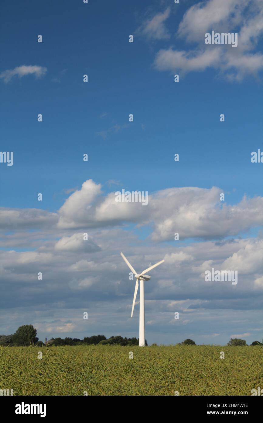 Una turbina eolica che produce elettricità pulita e sostenibile in un campo contro un cielo blu nuvoloso Foto Stock