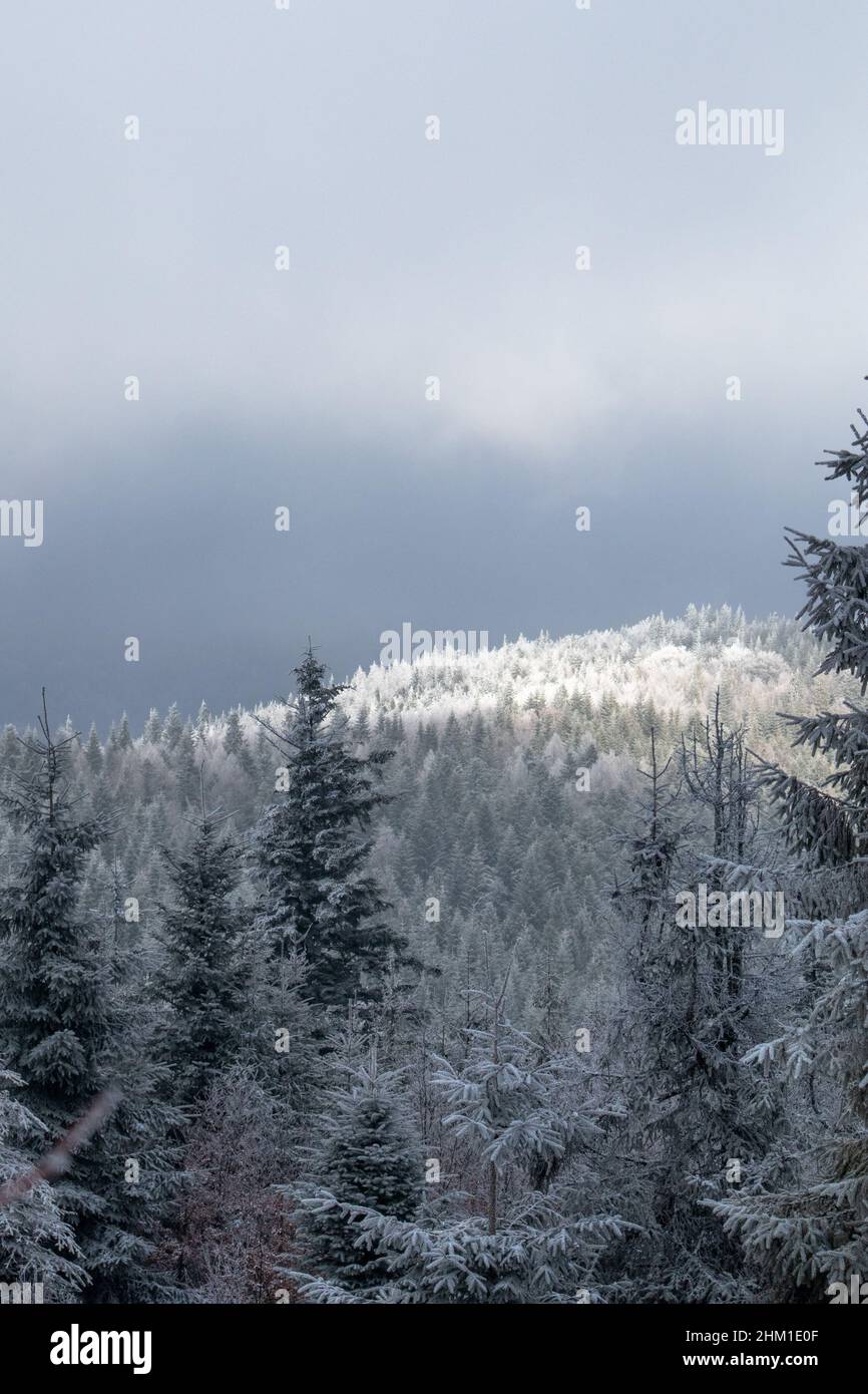 Bellissimo inverno nevoso e ghiacciato in montagna Foto Stock