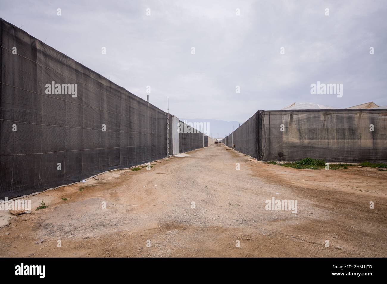 Serre di plastica in campagna Almeria, Andalusia, Spagna. Foto Stock