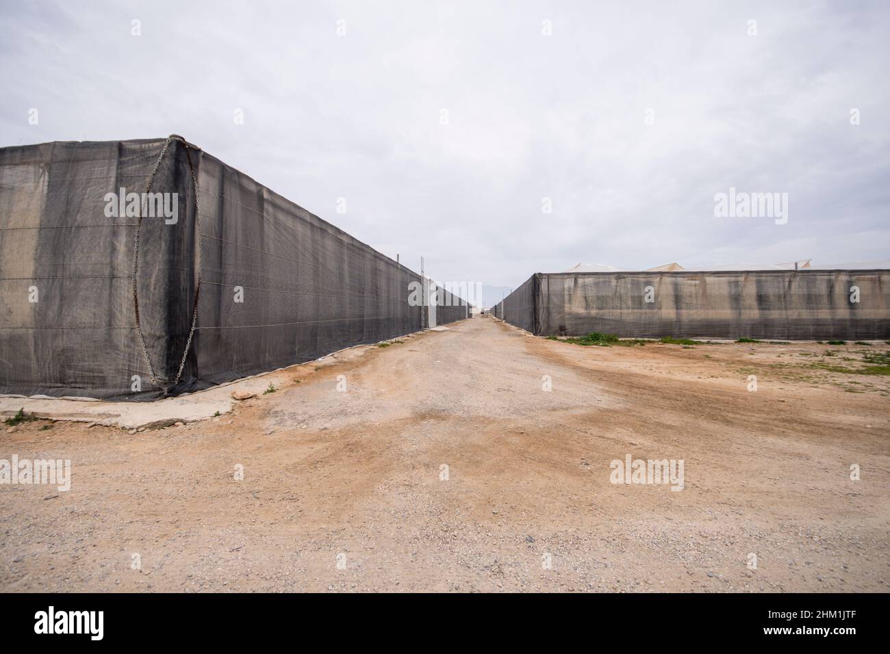 Serre di plastica in campagna Almeria, Andalusia, Spagna. Foto Stock