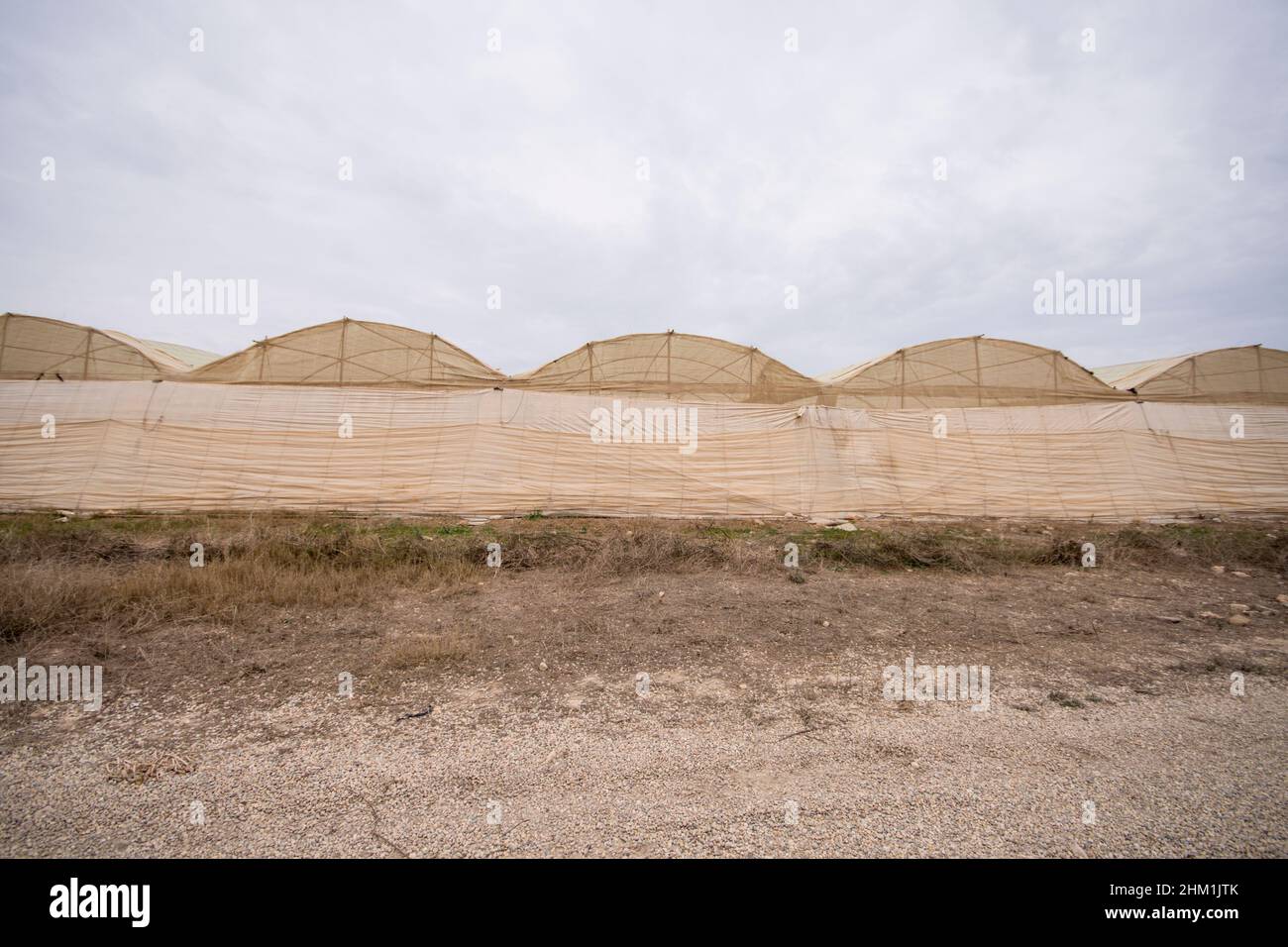 Serre di plastica in campagna Almeria, Andalusia, Spagna. Foto Stock