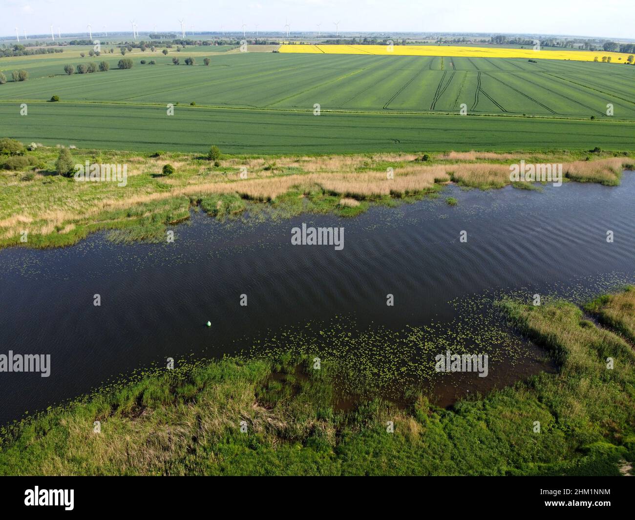 Lowland su Żulawy Wislane, fiume e campi verdi in estate, Polonia Foto Stock