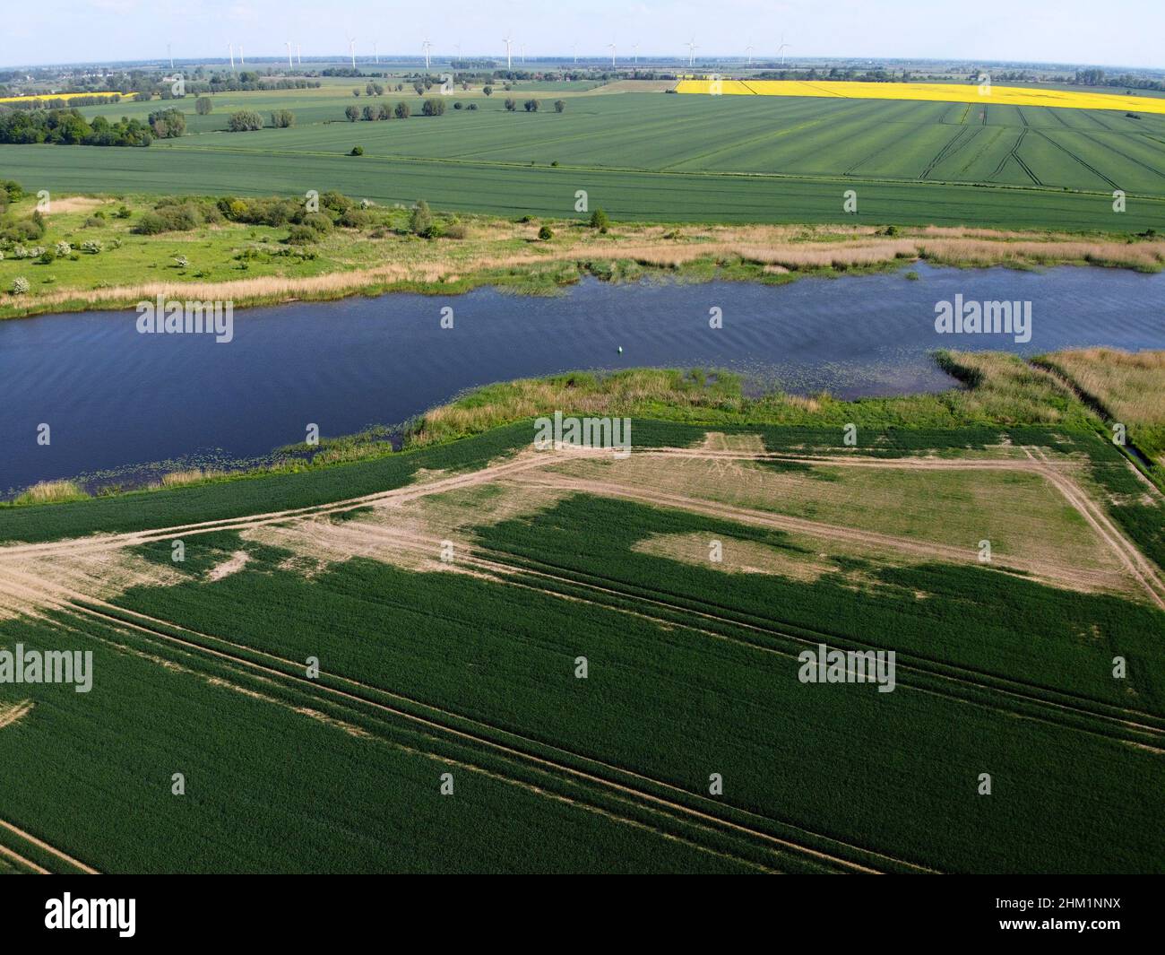 Campo e fiume su Zulawy Wislane, Polonia Foto Stock