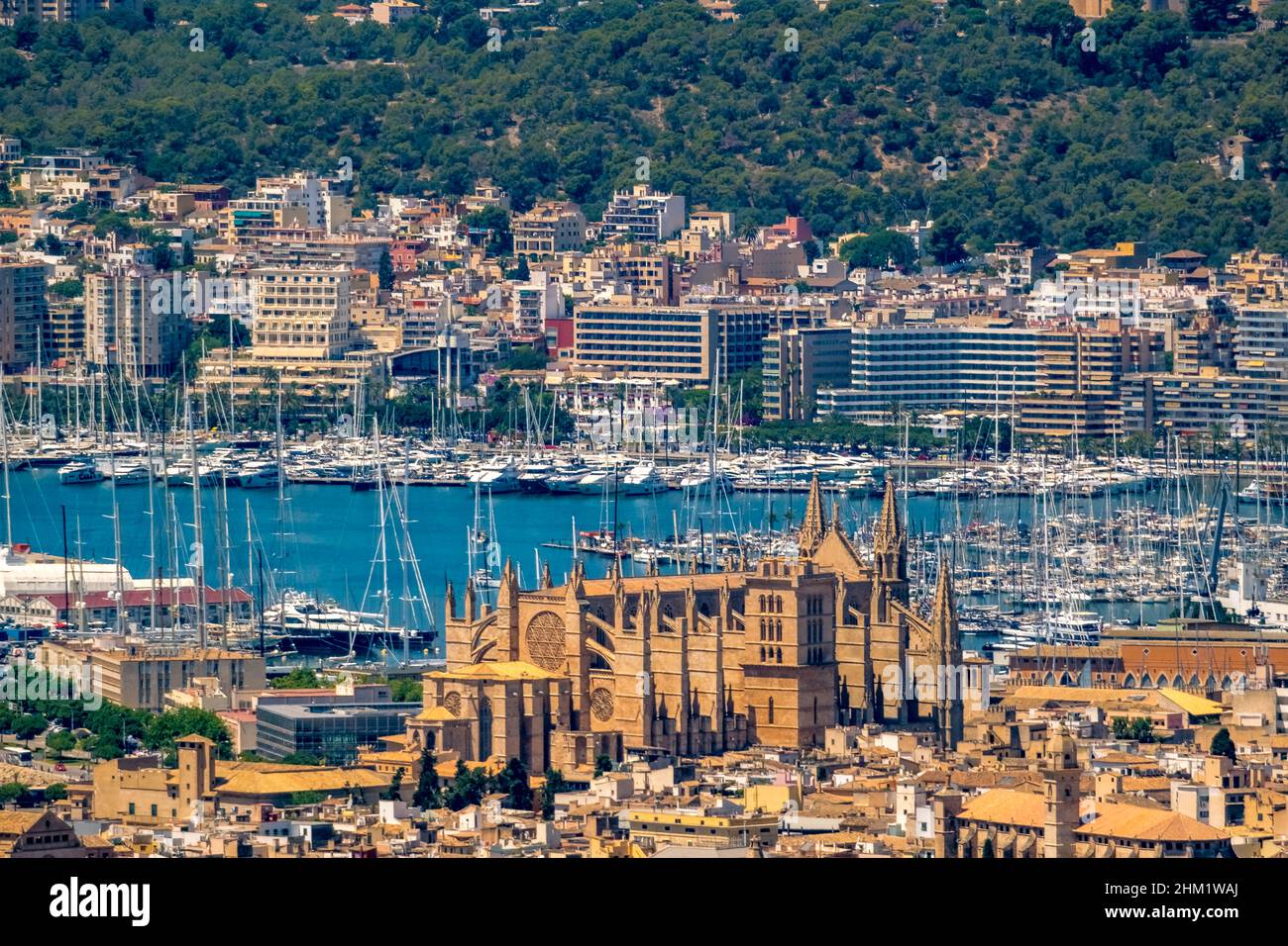 Veduta aerea, Chiesa di Santa Iglesia Catedral de Mallorca, Cattedrale di Palma, Puerto de Palma, Porto di Palma in background, Palma, Maiorca, Baleari is Foto Stock