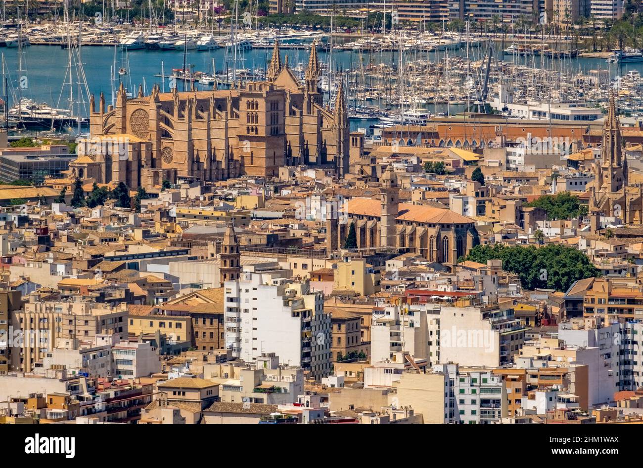 Veduta aerea, Chiesa di Santa Iglesia Catedral de Mallorca, Cattedrale di Palma, Puerto de Palma, Porto di Palma in background, Palma, Maiorca, Baleari is Foto Stock