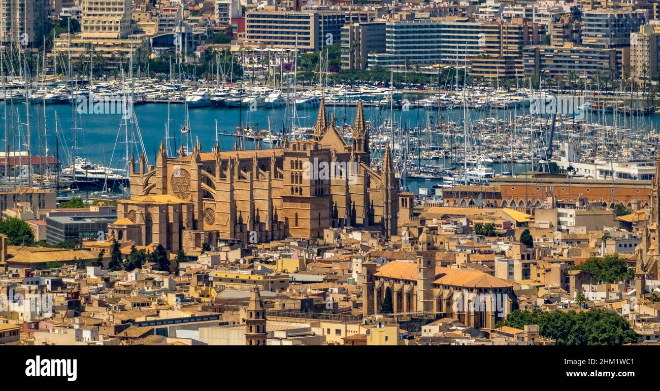Veduta aerea, Chiesa di Santa Iglesia Catedral de Mallorca, Cattedrale di Palma, Puerto de Palma, Porto di Palma in background, Palma, Maiorca, Baleari is Foto Stock