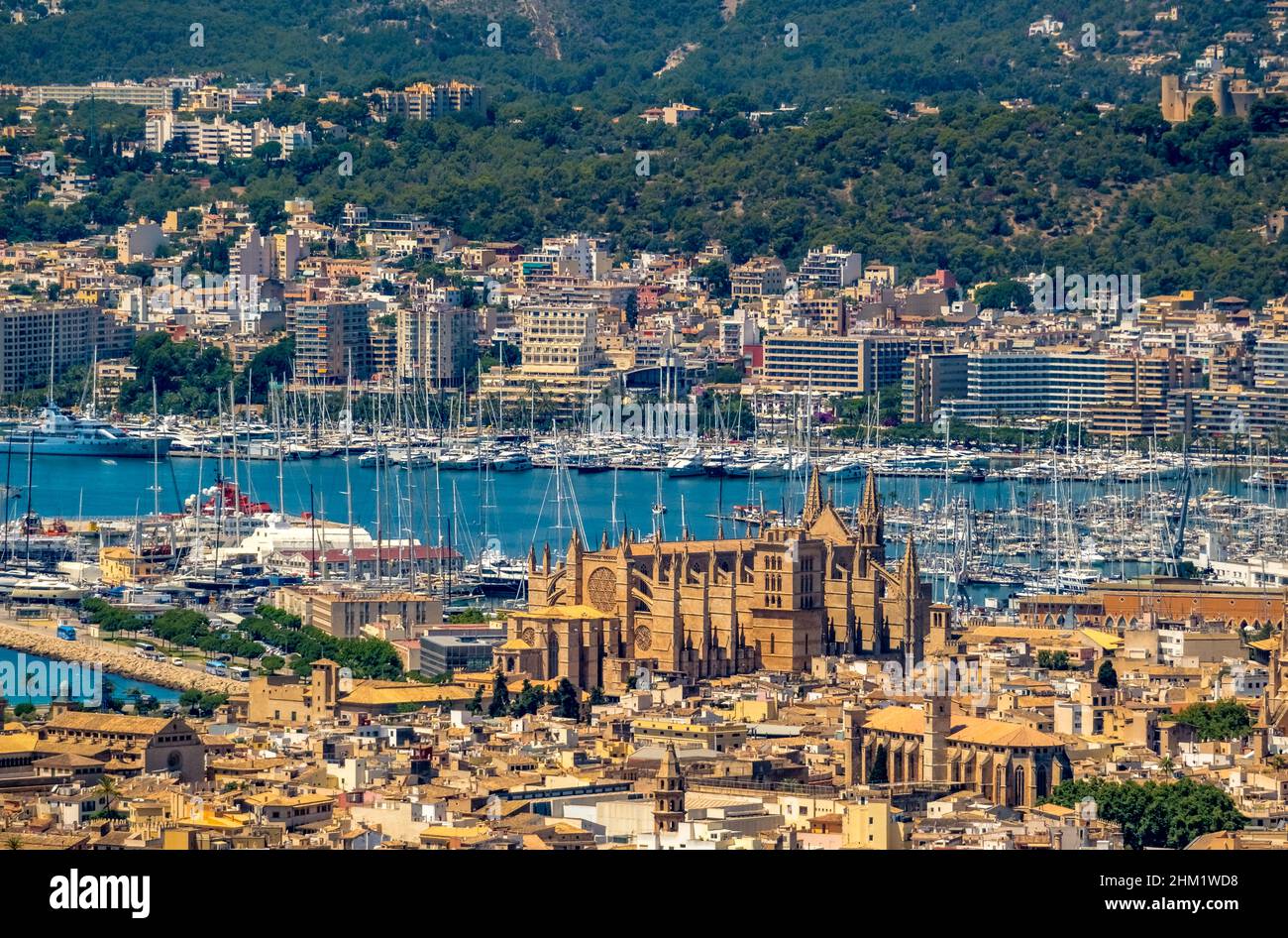 Veduta aerea, Chiesa di Santa Iglesia Catedral de Mallorca, Cattedrale di Palma, Puerto de Palma, Porto di Palma in background, Palma, Maiorca, Baleari is Foto Stock