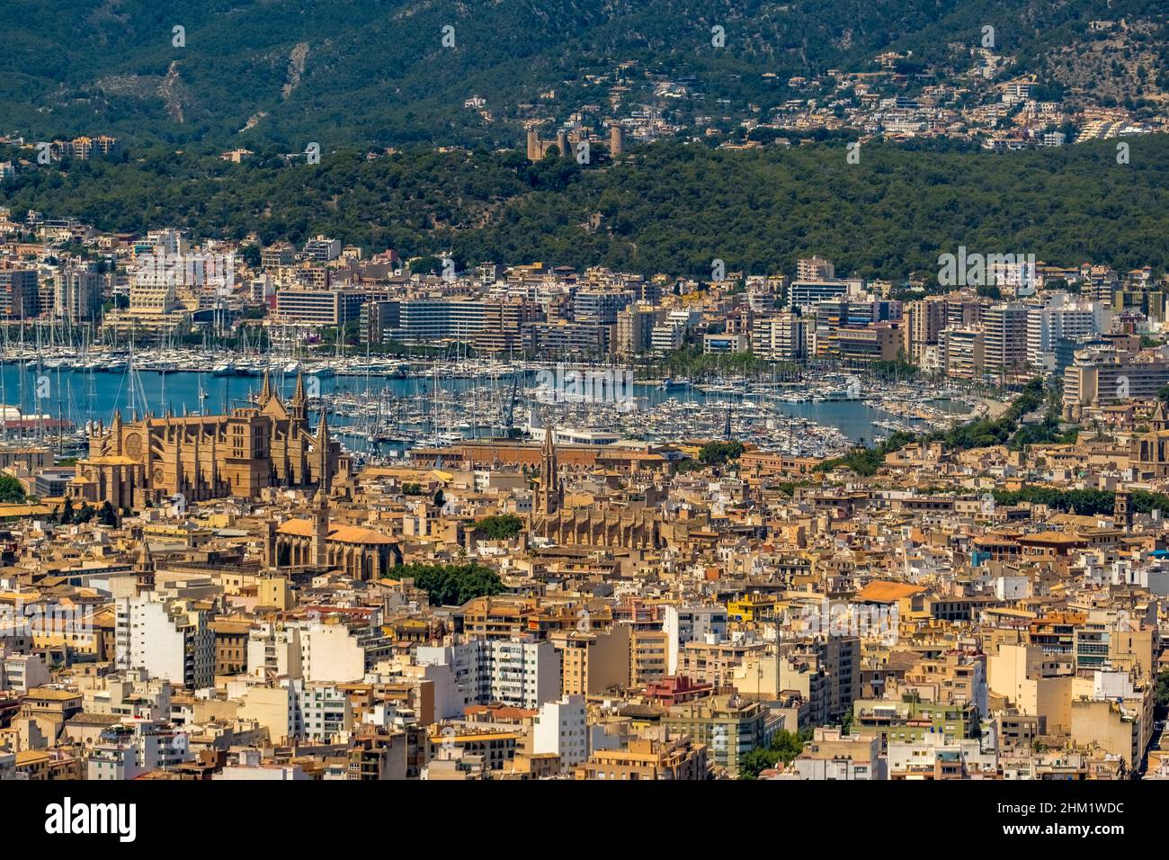 Veduta aerea, Chiesa di Santa Iglesia Catedral de Mallorca, Cattedrale di Palma, Puerto de Palma, Porto di Palma in background, Palma, Maiorca, Baleari is Foto Stock