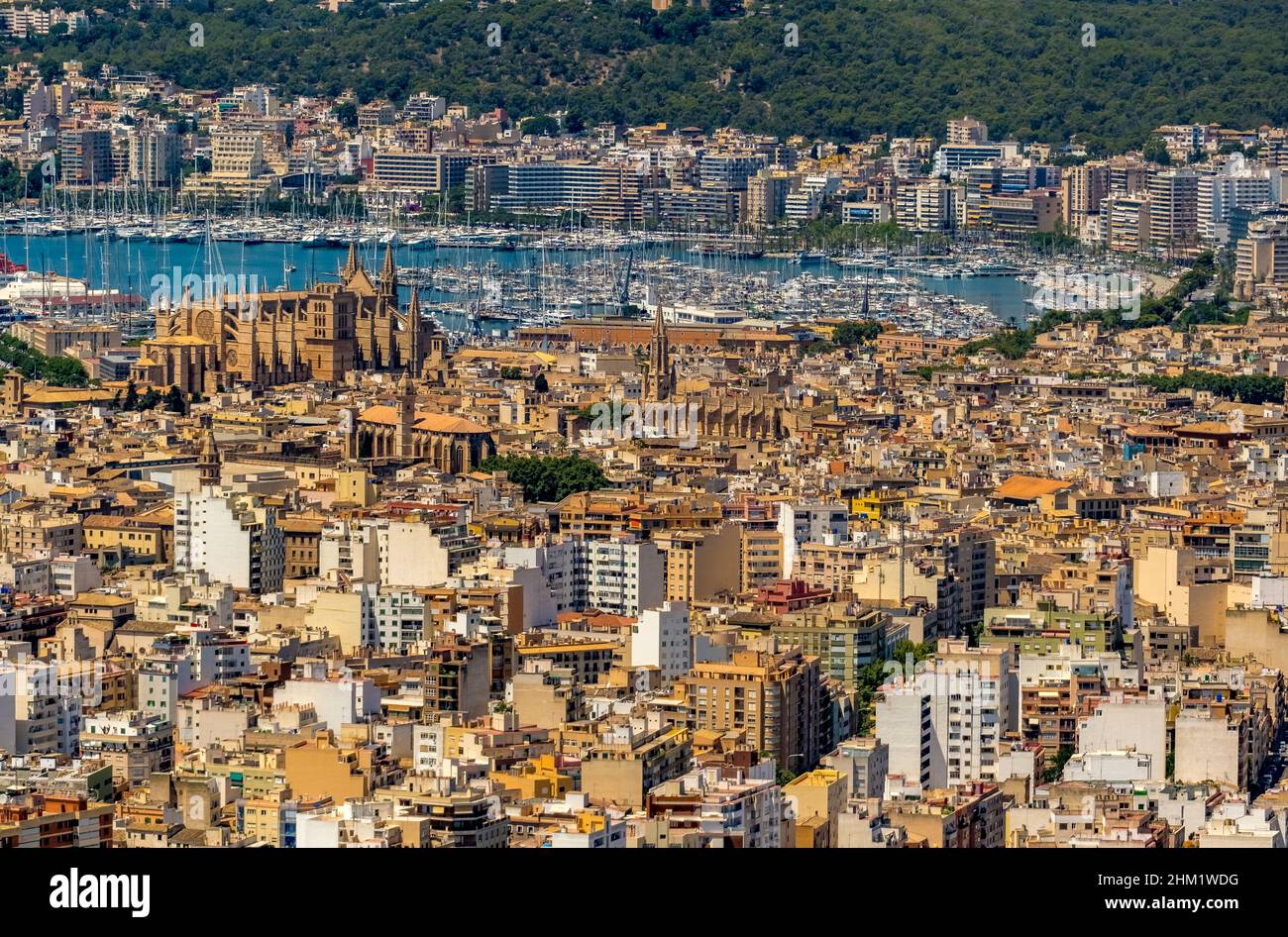 Veduta aerea, Chiesa di Santa Iglesia Catedral de Mallorca, Cattedrale di Palma, Puerto de Palma, Porto di Palma in background, Palma, Maiorca, Baleari is Foto Stock