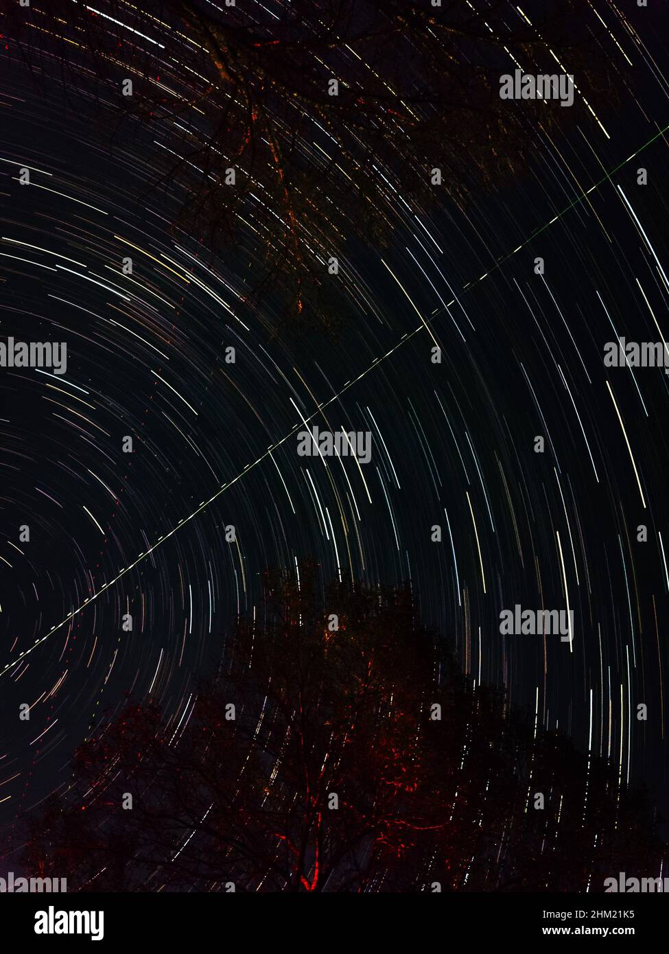 Foto verticale a lunga esposizione di una notte stellata e le sagome degli alberi Foto Stock
