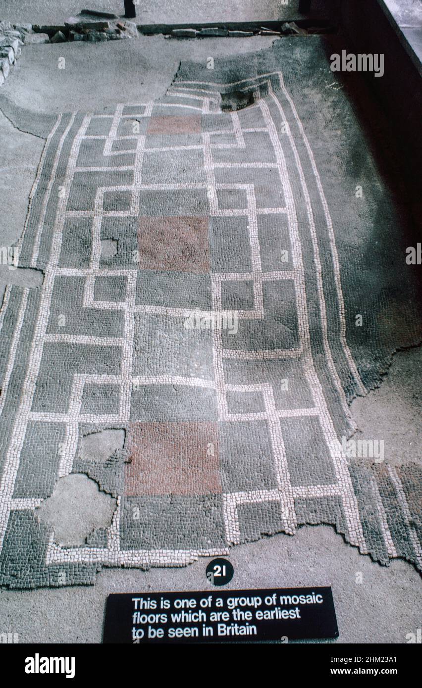 Fishbourne Palace vicino Chichester nel West Sussex, la più grande residenza romana a nord delle Alpi, conosciuta per l'alta qualità, mosaici ben conservati e un giardino rettangolare formale, ora museo. Mosaico dalla sala N21 - mosaico policromo flaviano. Scansione di archivio da un vetrino. Luglio 1975. Foto Stock