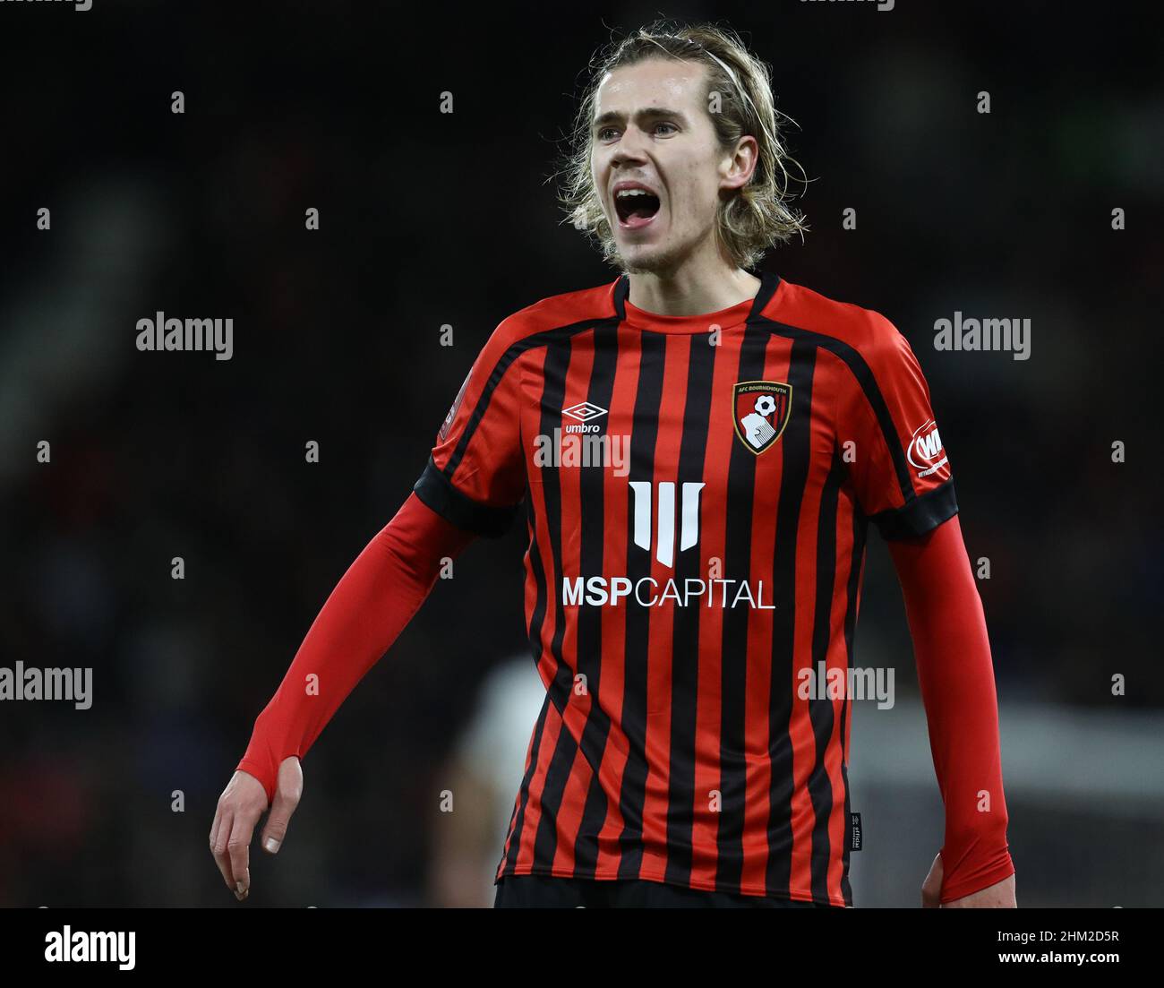 Bournemouth, Inghilterra, 6th febbraio 2022. Todd Cantwell di Bournemouth durante la partita della Emirates fa Cup al Vitality Stadium di Bournemouth. Il credito dell'immagine dovrebbe leggere: Paul Terry / credito dello Sportimage: Notizie dal vivo dello Sportimage/Alamy Foto Stock