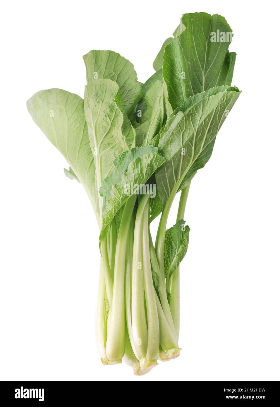 foglie di verde di collard su sfondo bianco Foto Stock