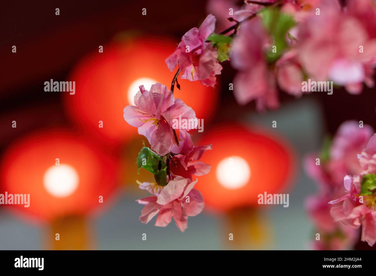 Fuoco selettivo di fiore di ciliegio finto come decorazione per la festa cinese di Capodanno Foto Stock