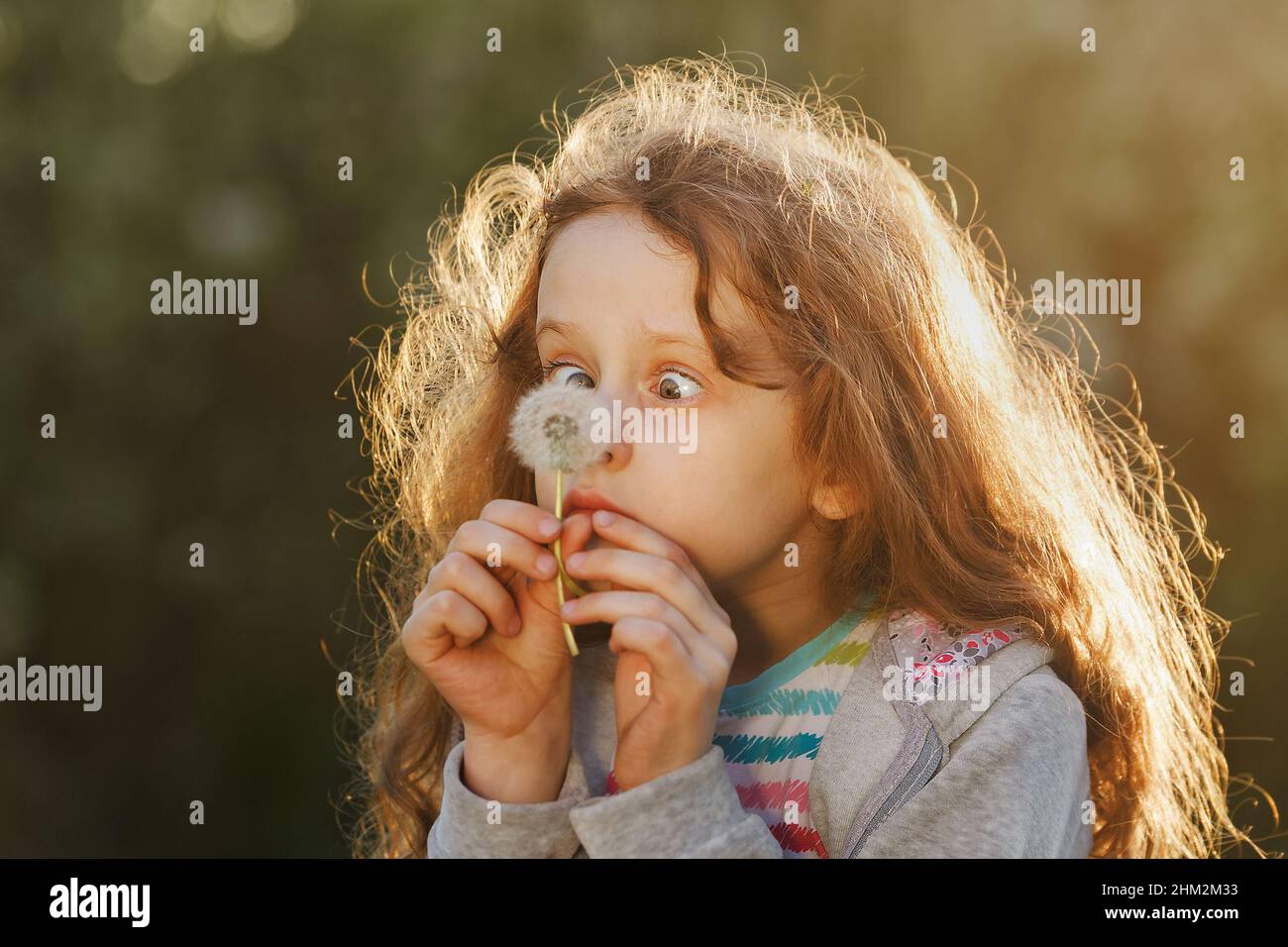 La bambina non si fida di falciare guarda un dente di leone in un parco in primavera. Foto Stock