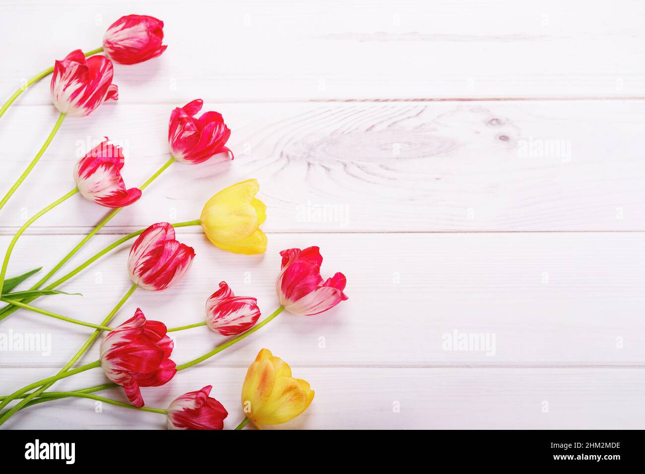 Tulipani rossi, gialli su sfondo di legno. Ciao concetto di primavera per cartolina. Foto Stock
