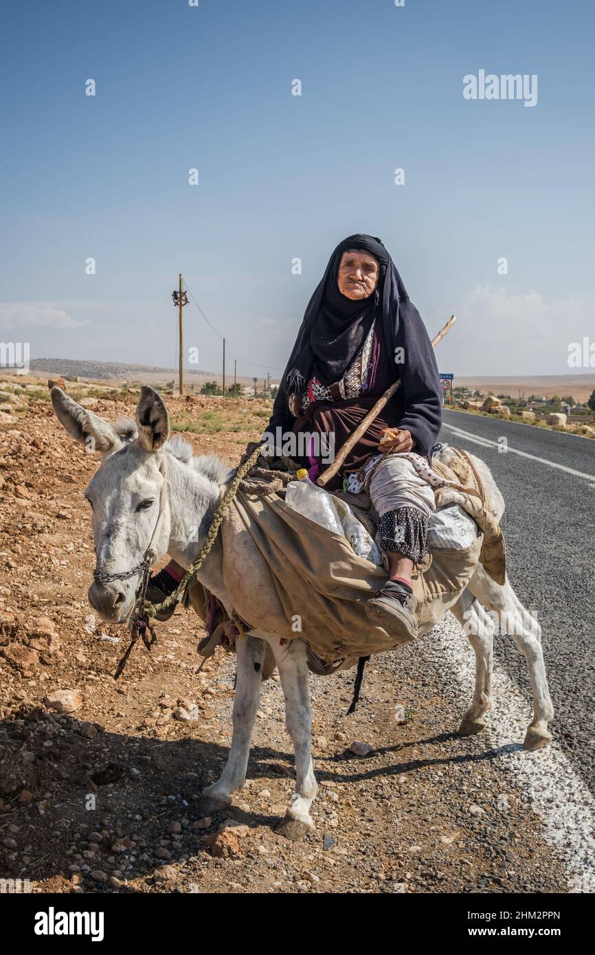 Ritratto di una donna anziana non identificata che guida un asino in Anatolia orientale, Turchia Foto Stock