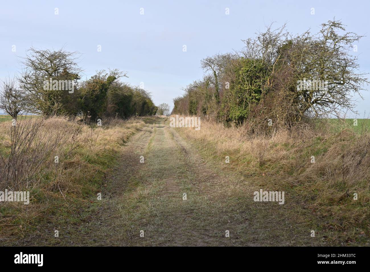 Il D'Arcy Dalton Way un sentiero a lunga distanza termina il suo percorso di 66 miglia al Ridgeway vicino a White Horse Hill, Uffington, Oxfordshire Foto Stock