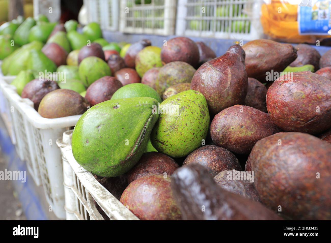 Lumajang, Indonesia - 13 gennaio 2022: Avocado fresco venduto nei mercati tradizionali Foto Stock