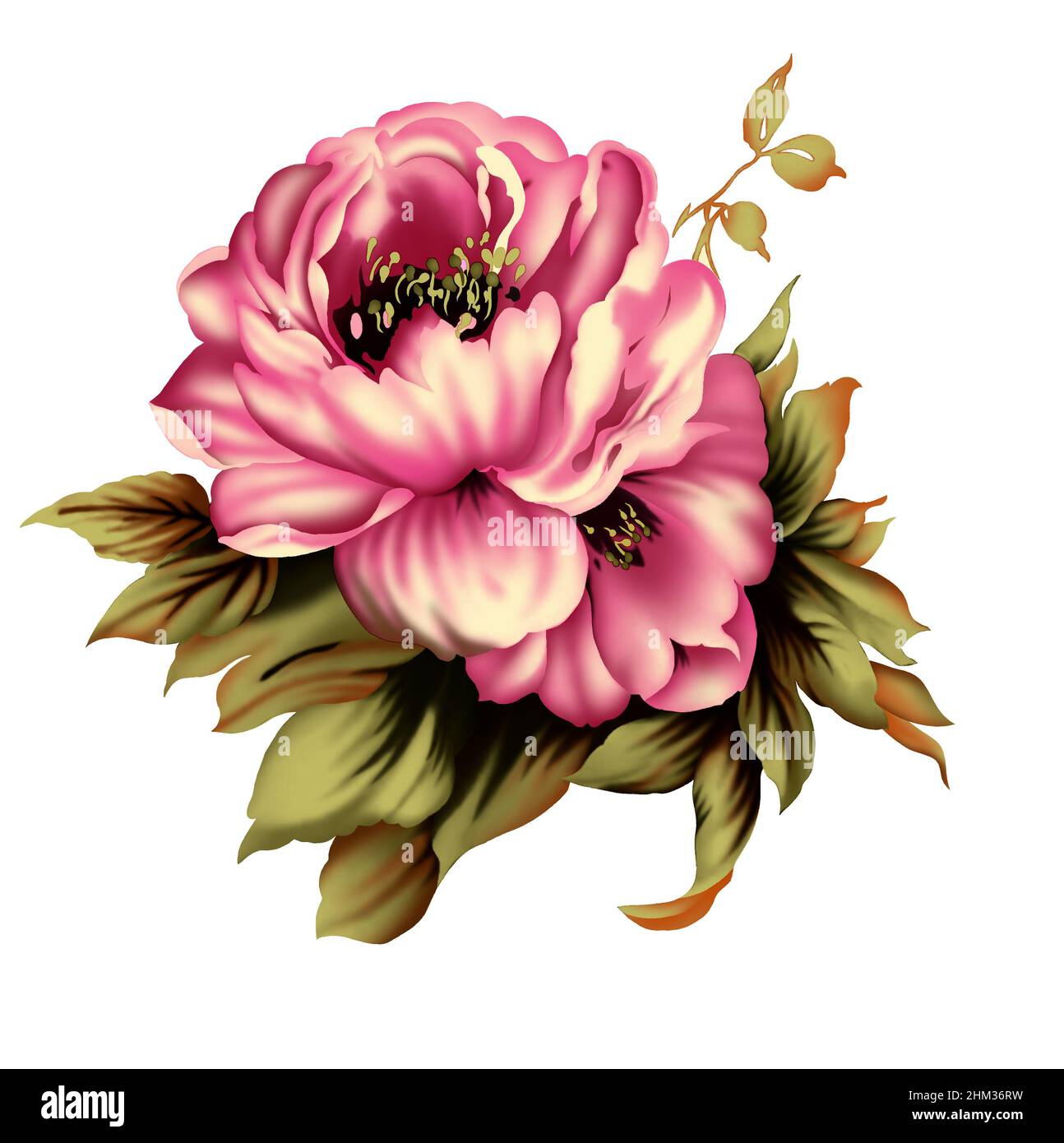 fiori allover design flora botanica Foto Stock