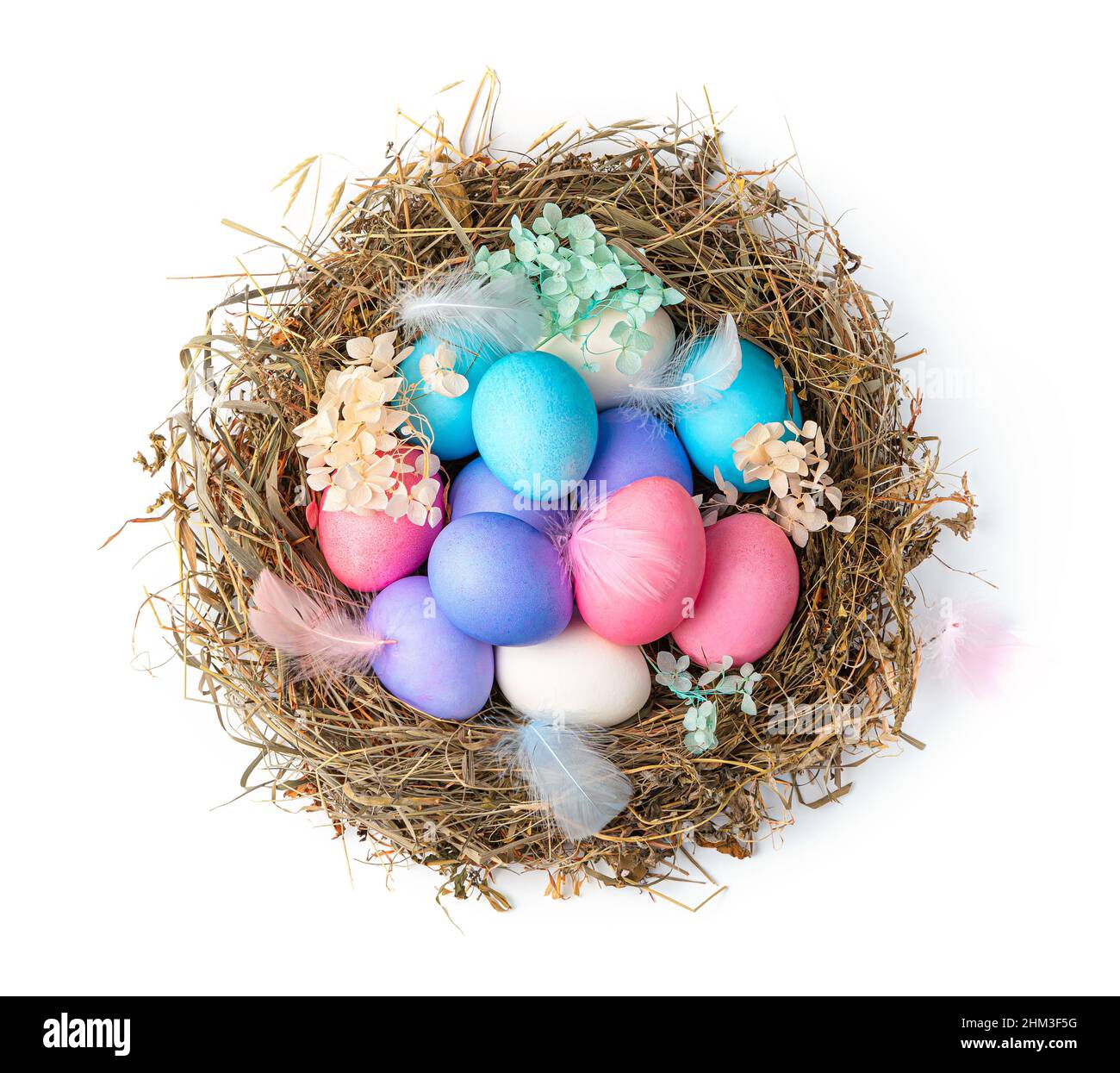 Uova di Pasqua colorate in un nido con piume e fiori isolati su sfondo bianco. Vista dall'alto, primo piano. Foto Stock