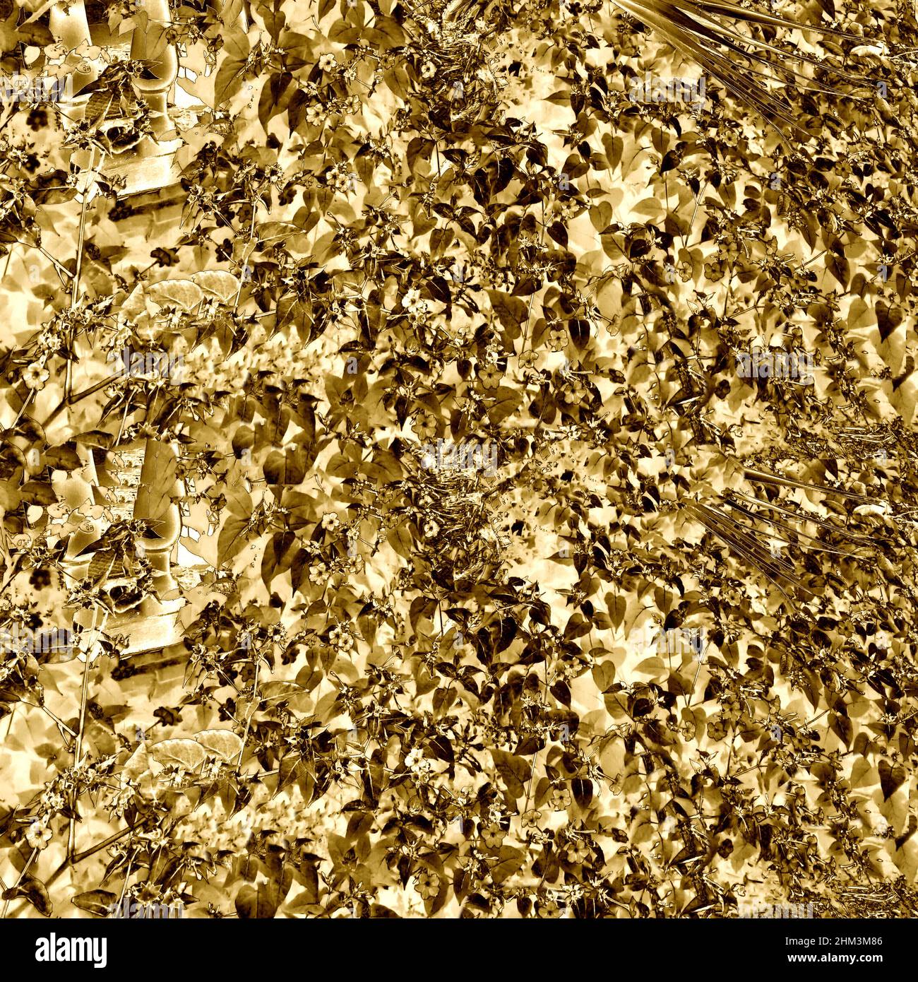 Carta o metallo lucido. Lamina d'oro. Foto Stock