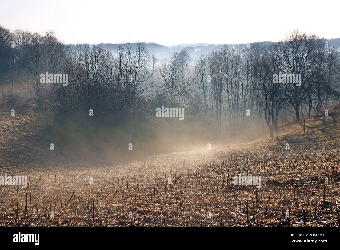 Mattina d'inverno, nebbia, sole e il cielo sopra la campagna ghiacciata vicino Zagabria, Croazia Foto Stock