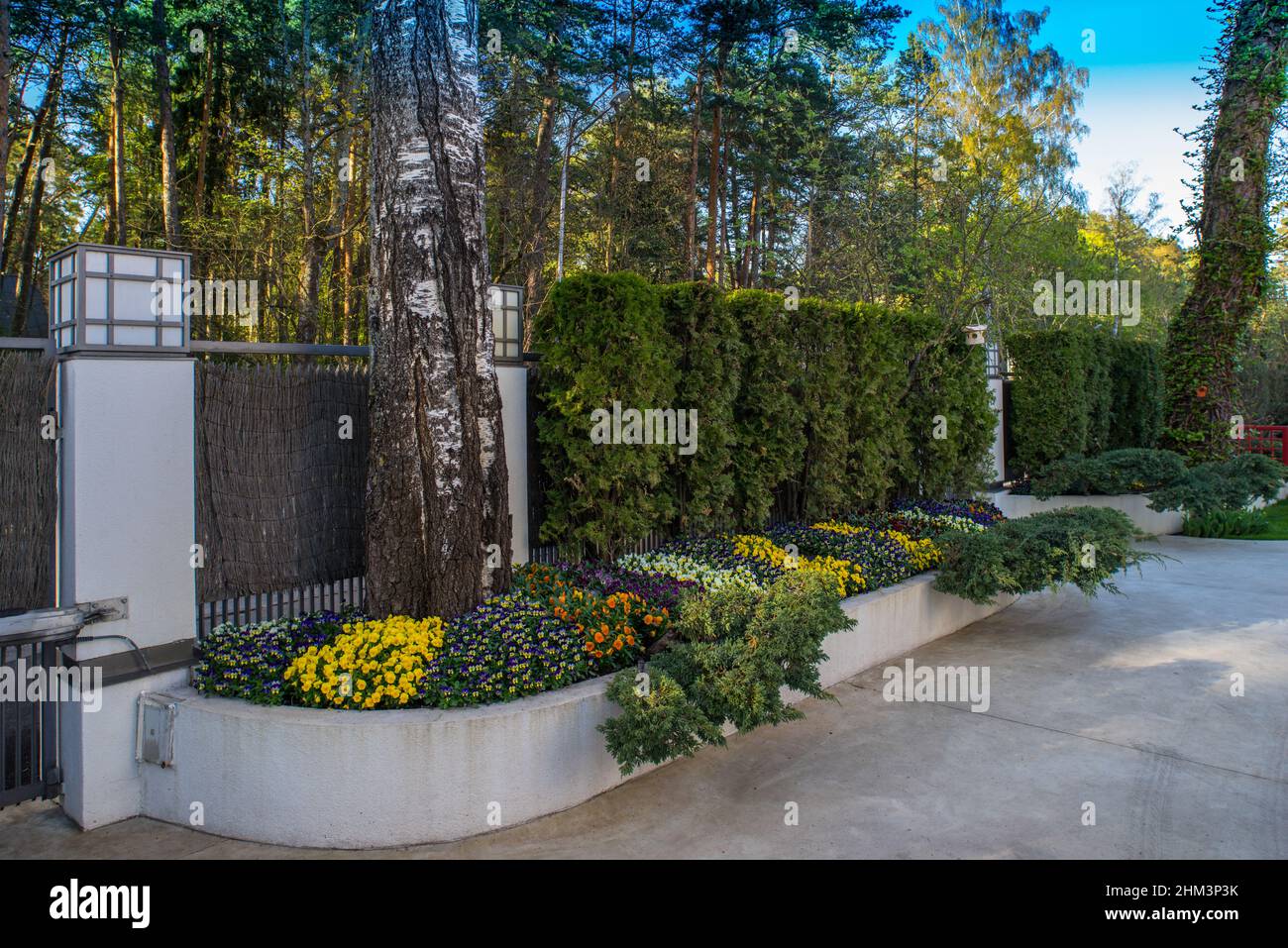 Privet giardino di casa di lusso. Bei fiori in letto di fiori vicino recinzione. Alberi e cespugli verdi. Giorno di sole. Foto Stock