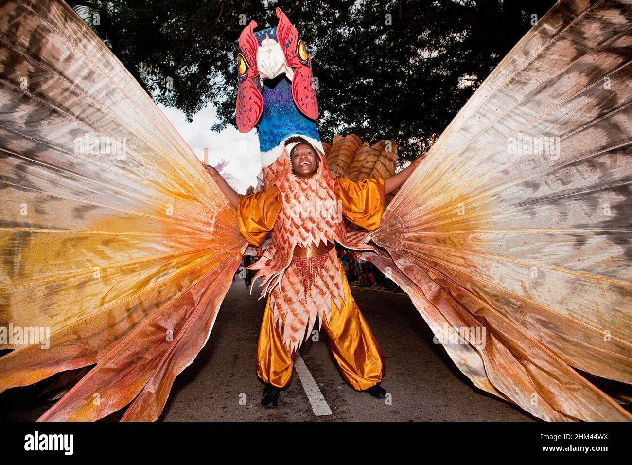 Interprete in elaborato costume da piccione che si esibisce in strada durante il Carnevale alle Seychelles. Foto Stock