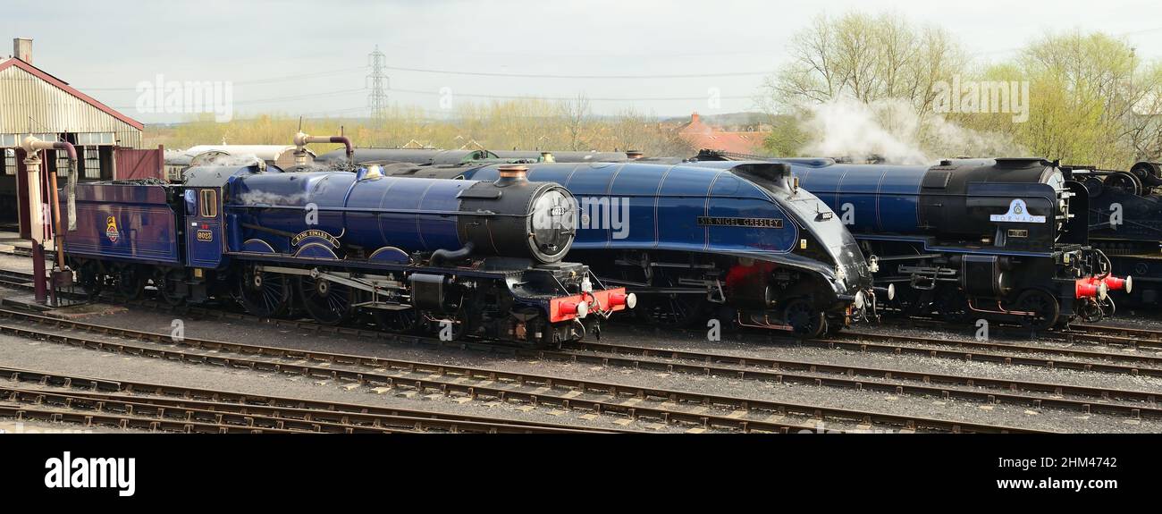 La linea di locomotive all'evento "Once in a blue moon" al Didcot Railway Centre, sede della Great Western Society, 5th aprile 2014. Foto Stock