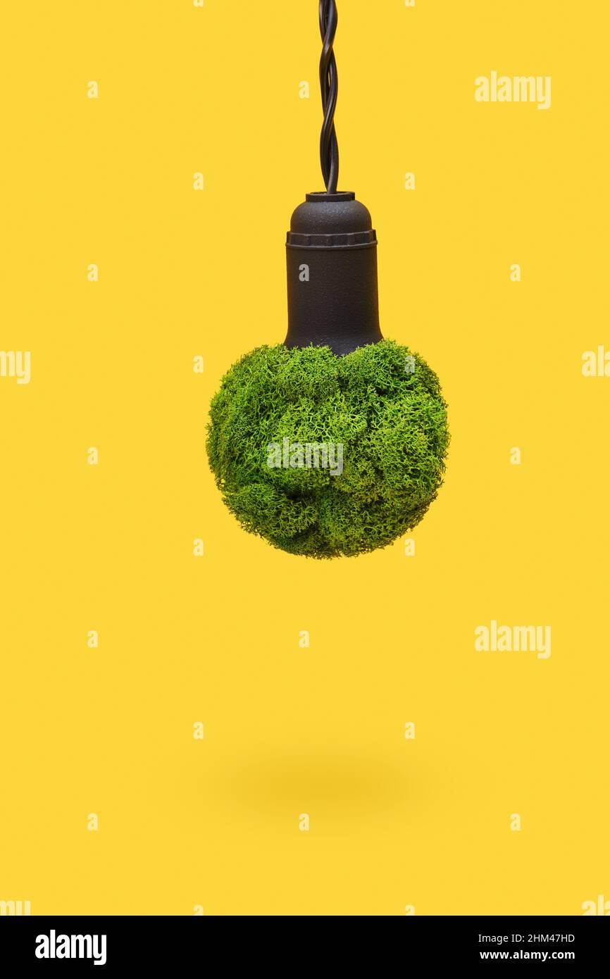 Concetto di energia verde. Lampadina fatta di piante verdi. Simbolo di natura pura senza rifiuti inquinanti. Foto Stock