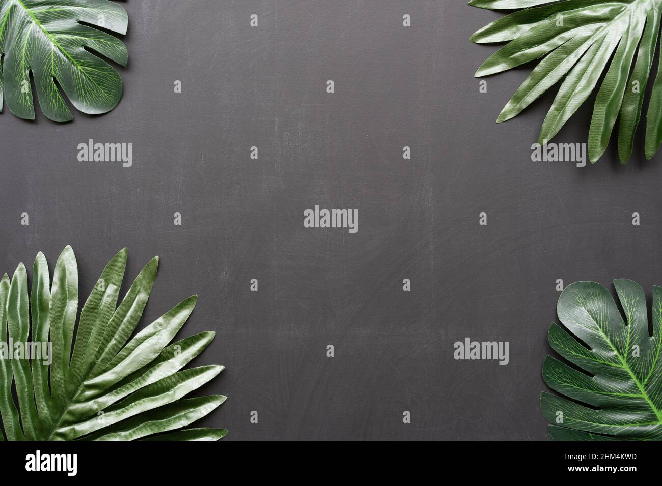 Foglie artificiali su sfondo nero, con spazio per la copia, in uno stile botanico scuro. Foto Stock