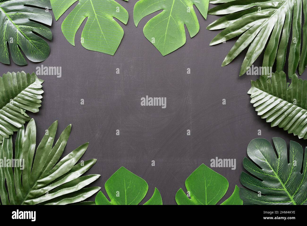 Foglie artificiali su sfondo nero, con spazio per la copia, in uno stile botanico scuro. Foto Stock