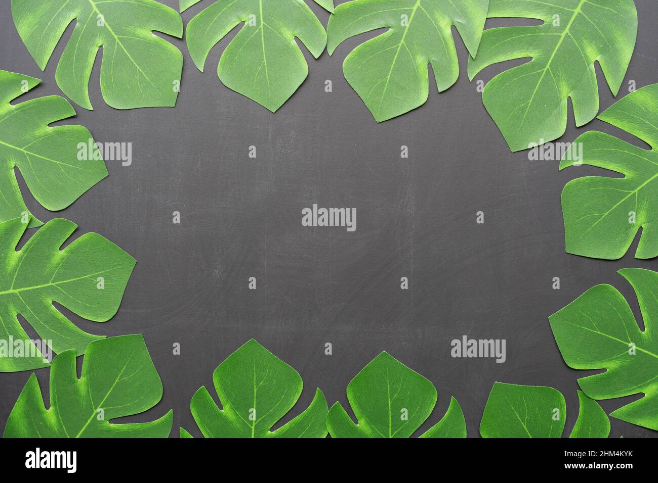 Foglie artificiali su sfondo nero, con spazio per la copia, in uno stile botanico scuro. Foto Stock