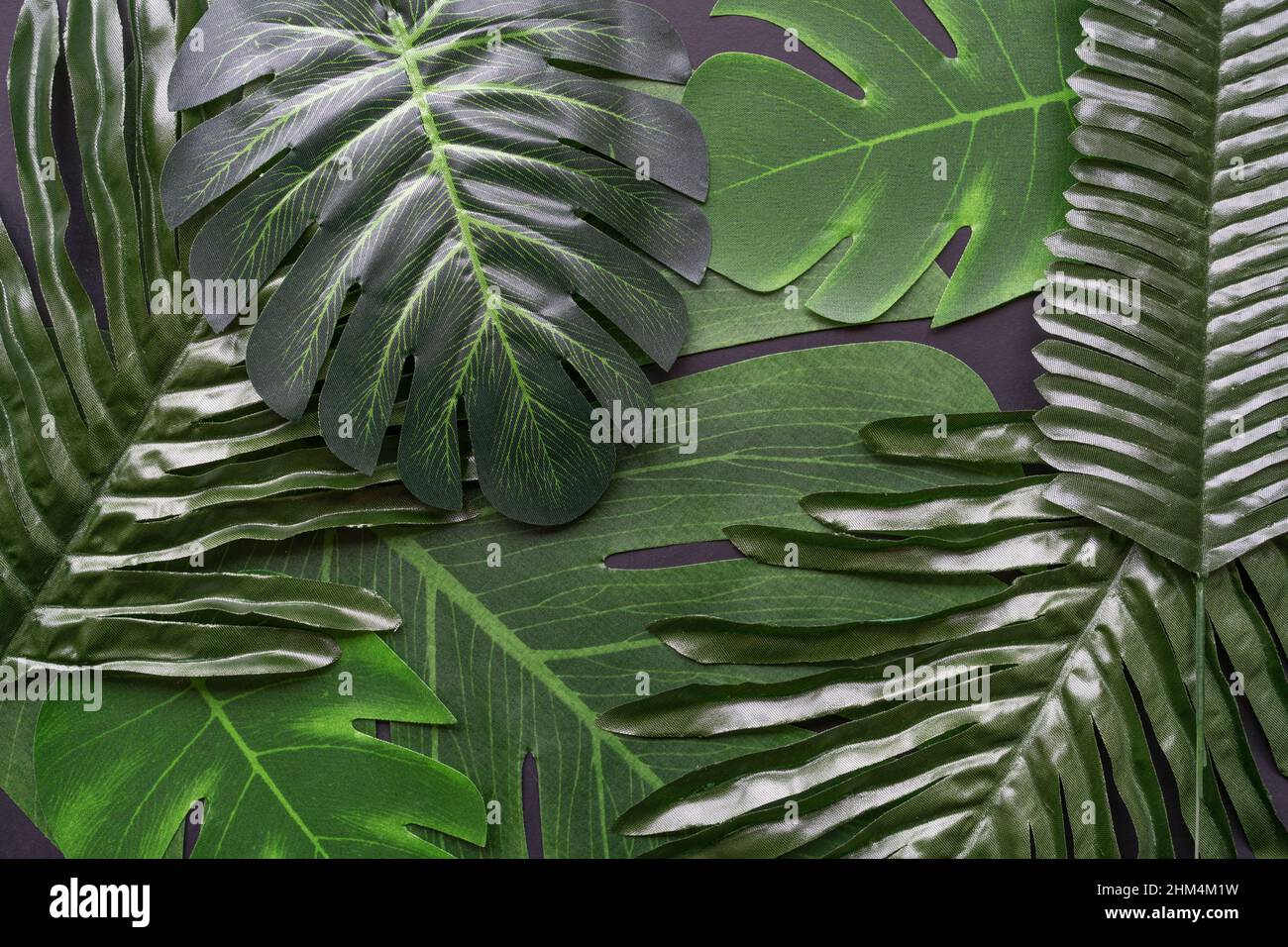Foglie artificiali piatte, con spazio per la copia, in uno stile botanico scuro. Foto Stock