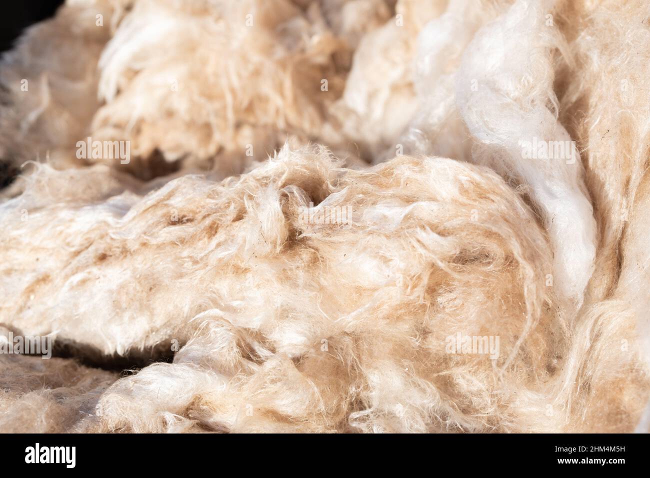 Materiale isolante, noto come rockwool. Concetto di crisi energetica, misure di efficienza energetica domestica. Foto Stock