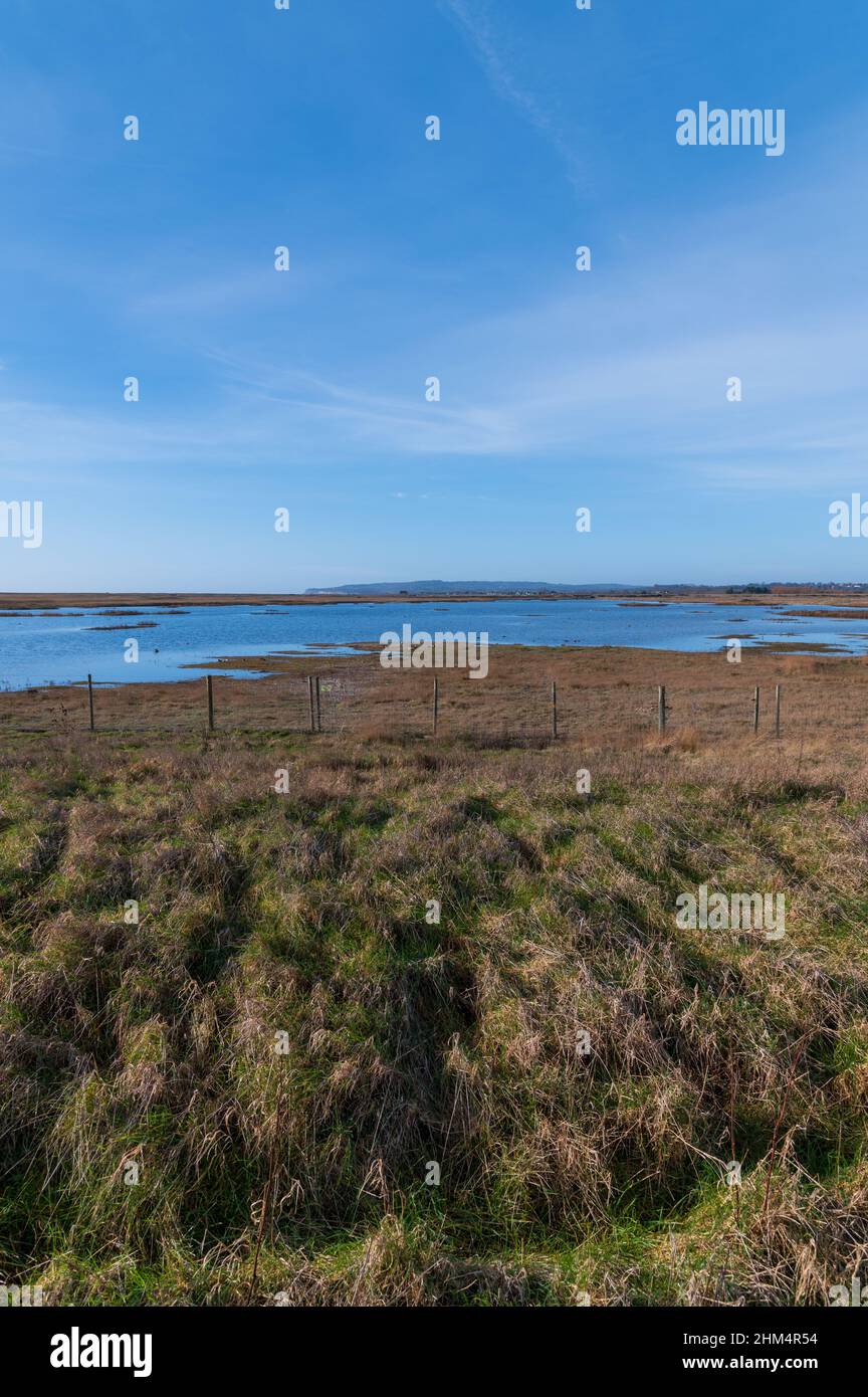 Una vista attraverso la riserva naturale di paludi di sale a Rye Harbour, Sussex, Regno Unito Foto Stock