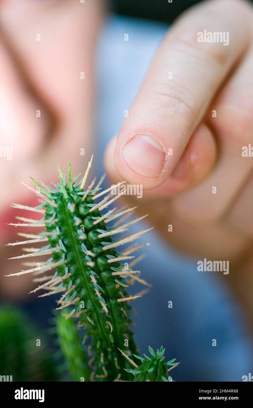 Primo piano di una mano umana che tocca Un Cactus, Credit:Photoshot Creative / Stuart Cox / Avalon Foto Stock