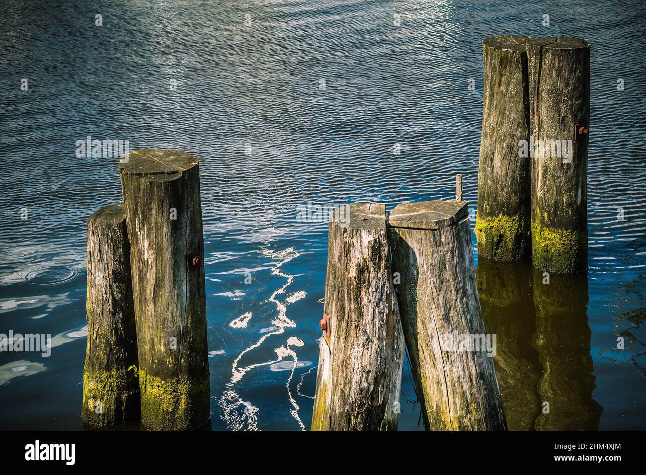 Eine Gruppe von Holzdalben in Einem Hafenbecken in der trave Foto Stock