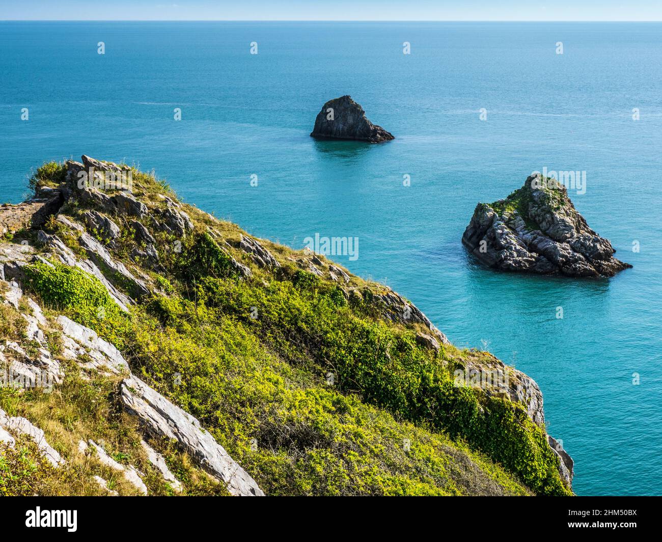 Vista dal South West Coast Path vicino Berry Head, Brixham, Devon. Foto Stock
